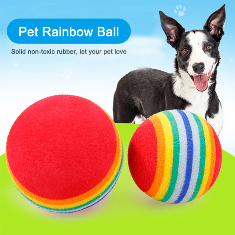 Regenbogen Hund Spielzeug für kleine Hunde