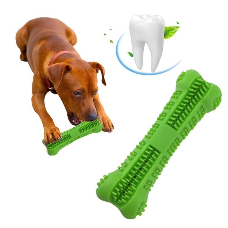 Spielzeug Hund Reinigung Zähne