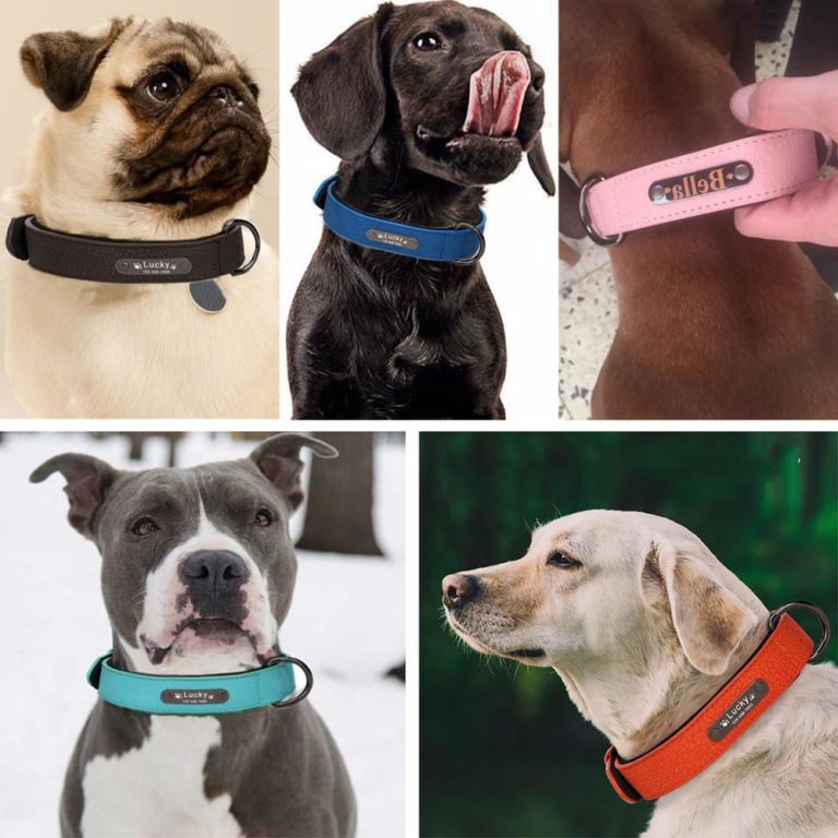 Hund Halsband, Personalisierte Pet Dog Name Id Tag Verstellbar Weich